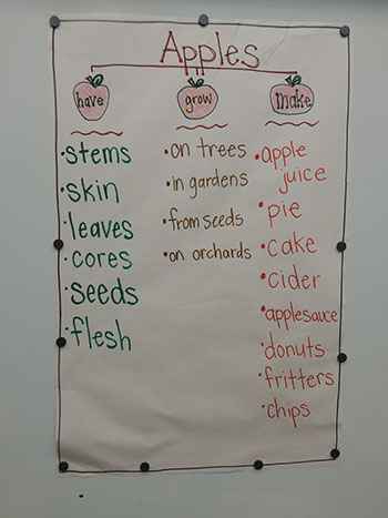 apples