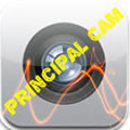 principal